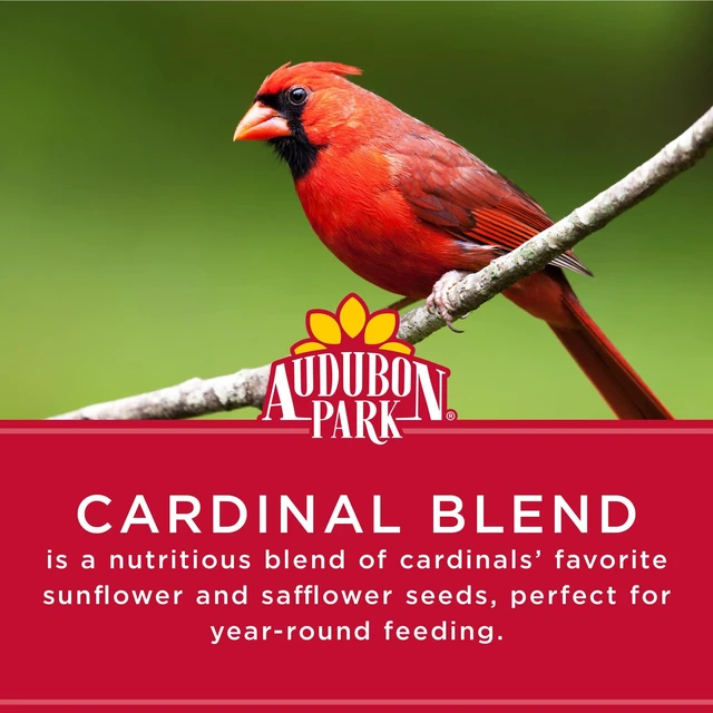 Alt view image 5 of 6 - Audubon Park Cardinal Blend Wild Bird Food, 4-Pound Bag, for Outside Feeders