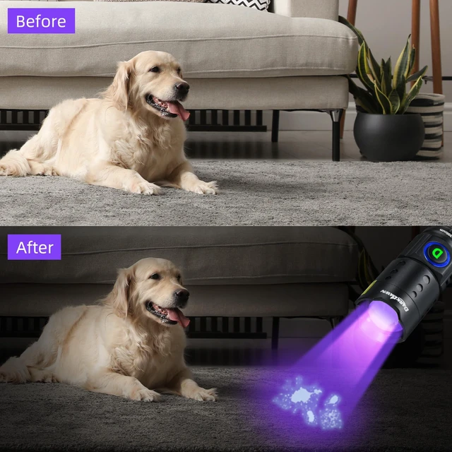 Alt view image 2 of 6 - DARKDAWN UV Flashlight 395nm Mini USB Rechargeable Blacklight Portable Detector for Pet Urine Stains, Scorpions, Resin Curing