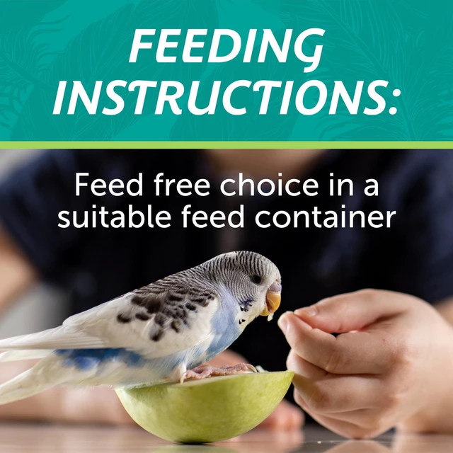 Alt view image 2 of 6 - Pennington Small Breed Everyday Blend Bird Food for Parakeets, Canaries and Finches, 3lb Bag