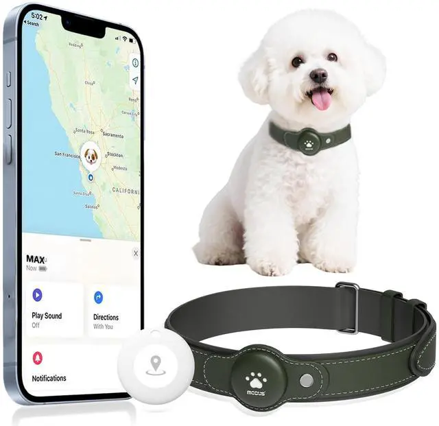 Main image of GPS Tracker for Dogs, 2 in 1 Smart Pet Collar (Only iOS), No Monthly Fee Waterproof Dog Collar with Real-time Tracking, Anti-Lost, 365-Day Long Battery GPS Tracker for All Sized Dogs(Locator Included)