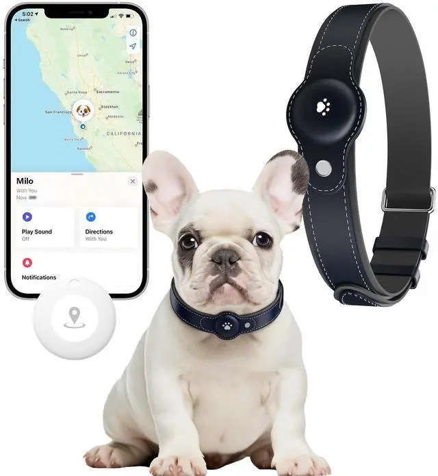 Main image of 2-in-1 GPS Tracker for Dogs: Smart Pet Collar with Real-Time Tracking,No Monthly Fee/Subscription (iOS Only) Waterproof, Anti-Lost,365-Day Long Battery Life GPS Tracker Dog Collar(Tracker Included)