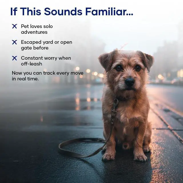 Alt view image 3 of 7 - Smart Pet Locator GPS Tracker for Dogs & Cats | Real-Time Tracking, Waterproof & Lightweight | Upto 7-Day Battery | App-Connected Pet Tracker Collar Attachment