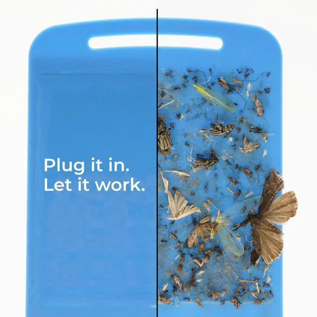 Alt view image 4 of 6 - Flying Insect and Fly Trap - Indoor Bug Catcher for Fruit and House Flies, Gnats, Moths, and Mosquitoes - Starter Kit for Home and Kitchen - 1 Plug-in Light and 1 Cartridge