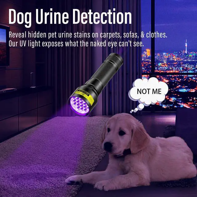 Alt view image 3 of 6 - UV Flashlight Black Light, 21 LED 395nm Ultraviolet Rechargeable Flashlights UV Light, Waterproof Portable BlackLight Flashlights for Pet Urine Detection, Dry Stains, Bed Bug, Fluorescent Agent
