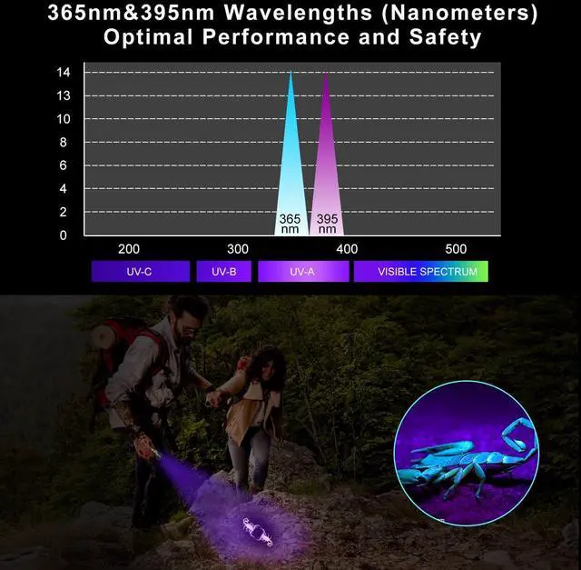 Alt view image 3 of 6 - UV Blacklight Flashlight - 365nm and 395nm Black Light for UV Glue Curing, Urine Stain Detection, Anti-counterfeiting, and More - Compact Handheld Ultraviolet Torch Wood's Lamp