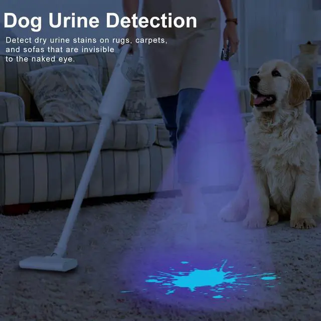 Alt view image 4 of 6 - UV Blacklight Flashlight - 365nm and 395nm Black Light for UV Glue Curing, Urine Stain Detection, Anti-counterfeiting, and More - Compact Handheld Ultraviolet Torch Wood's Lamp