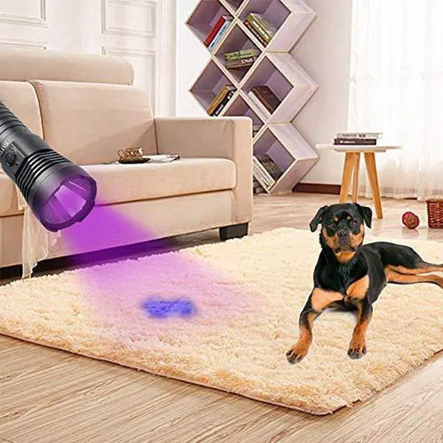 Alt view image 5 of 7 - U3 UV Flashlight Rechargeable 395nm Black Light Torch Blacklight 10W Ultraviolet LED Lamp with Micro USB Charging Cable