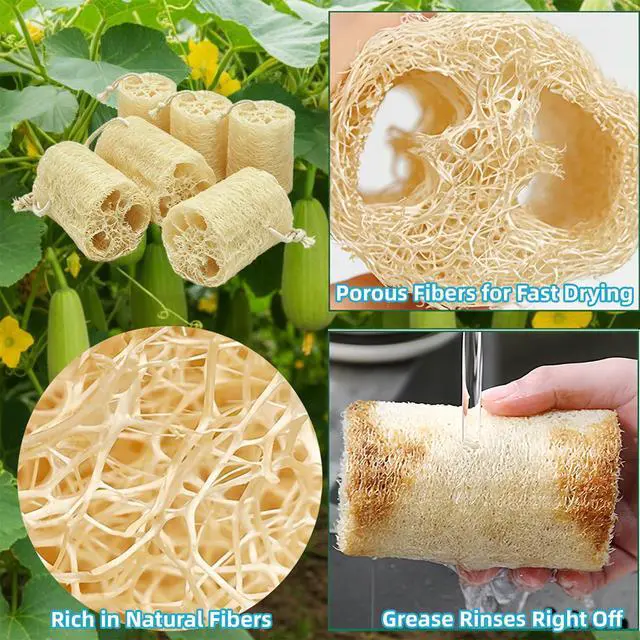 Alt view image 4 of 6 - Natural Loofah Exfoliating Body Sponge Scrubber, Plant-Based Organic Loofa Luffa for Men & Women Skin Care Bath Shower Cleaning Back & Fac, Natural Sponges for Dishes (4", Count, 6.0)