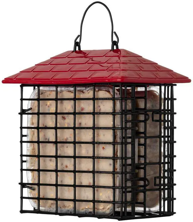 Main image of More Birds Double Suet Feeder with Weather Guard, Wild Bird, Assorted Colors
