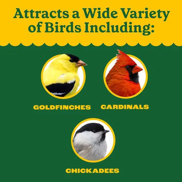 Alt view image 5 of 6 - Pennington 40 LB Wild Bird Seed Mix Dry Bird Food, NutrientRich Grains & Black Oil Sunflower Seed Blend, VitaminEnriched YearRound Wild Bird Feed Attracts Cardinals Goldfinches Songbirds, 1 Pack