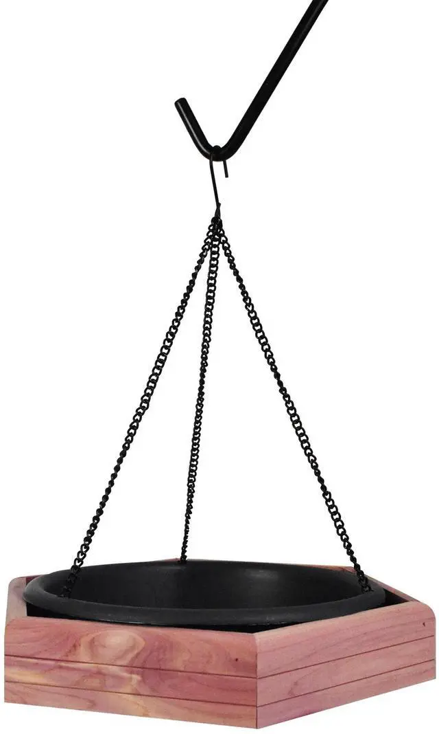 Main image of Pennington Red Cedar 2 in 1 Wild Bird Bath and Wild Bird Feeder, 4 lb. Capacity