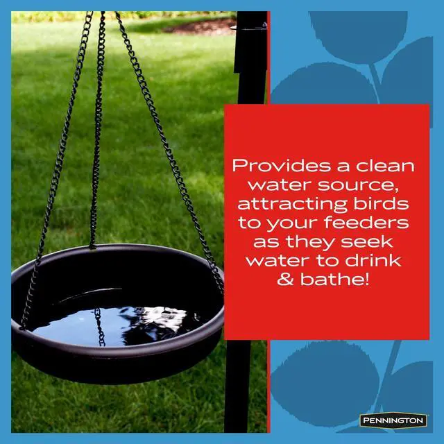 Alt view image 4 of 5 - Pennington Red Cedar 2 in 1 Wild Bird Bath and Wild Bird Feeder, 4 lb. Capacity