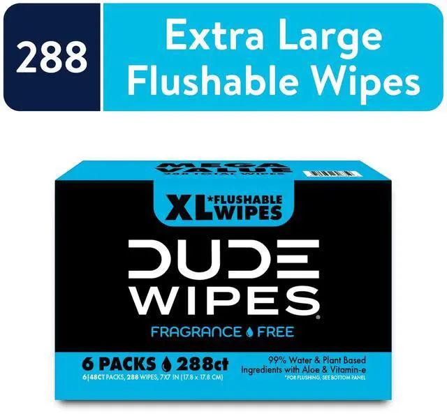 Main image of DUDE Wipes Flushable Wipes Unscented XL Wet Wipes for Home Use, 48 Count, 6 Pack