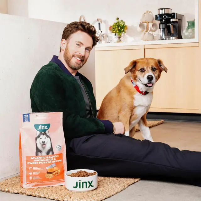 Alt view image 3 of 6 - Jinx Beef Bone Broth Kibble Sauce Dog Meal Topper, 12 oz Bottle