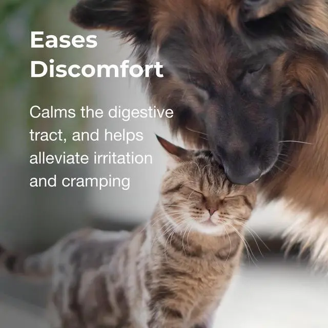 Alt view image 2 of 5 - Pet-Ag Pet Pectillin Anti-Diarrheal - 4 oz