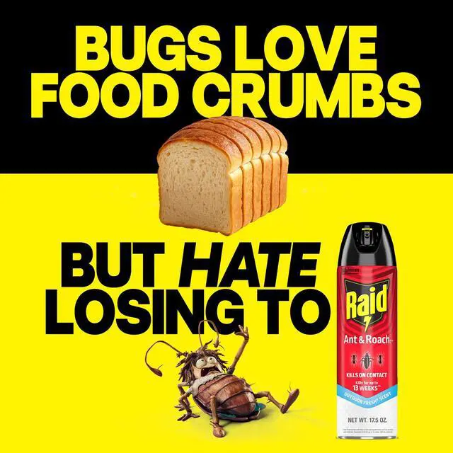 Alt view image 5 of 6 - Raid Ant & Roach Killer Spray, 17.5 oz, Kills Listed Bugs, Keeps Killing for 13 Weeks, Outdoor Fresh Scent
