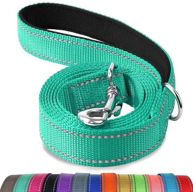 Main image of Joytale Reflective Dog Leash 6FT x 1Inch Turquoise for Medium Large Dogs