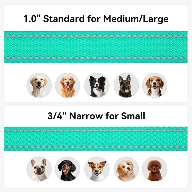 Alt view image 5 of 6 - Joytale Reflective Dog Leash 6FT x 1Inch Turquoise for Medium Large Dogs