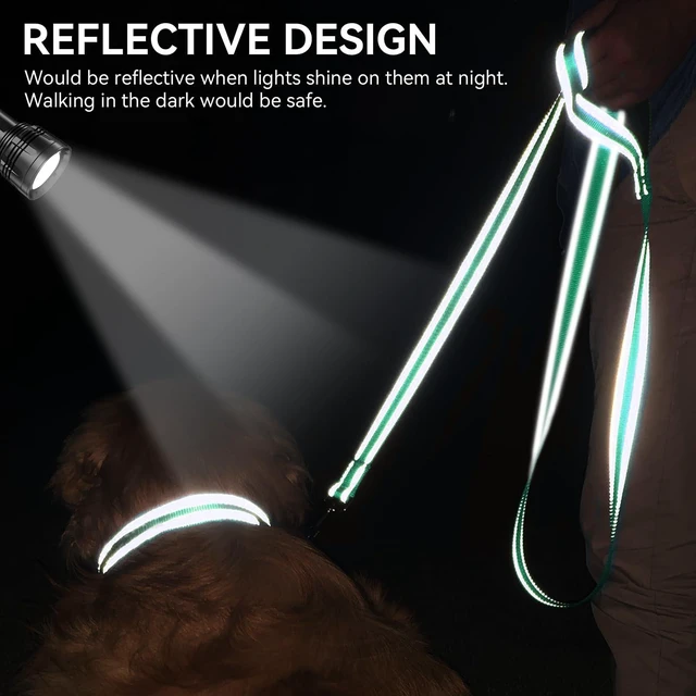 Alt view image 2 of 6 - Joytale Reflective Dog Leash 6FT x 1Inch Turquoise for Medium Large Dogs