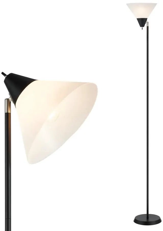 Main image of Floor Lamp Standing Lamp Adjustable Head Arcylic Shade Floor Lamps for Living Room/Office/Bedroom (Black)