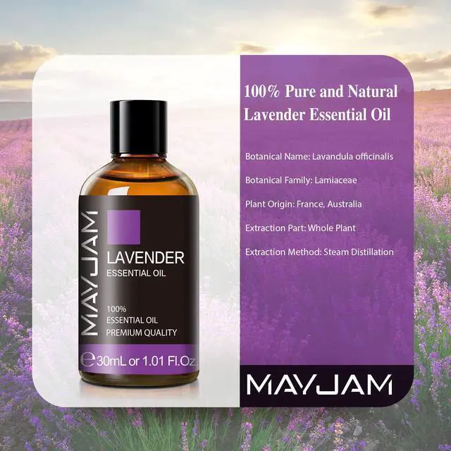 Alt view image 3 of 7 - Lavender Essential Oil 30ML/ 1.01FL.OZ, Pure Aromatherapy Lavender Oil for Massage, Diffuser, Soap Making, Long Lasting Scents