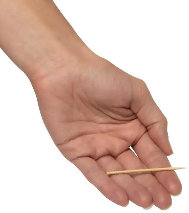 Alt view image 7 of 7 - Traditional Single Point Wooden Toothpicks Made from Bamboo, Bulk Pack (500), -1 Container (500)