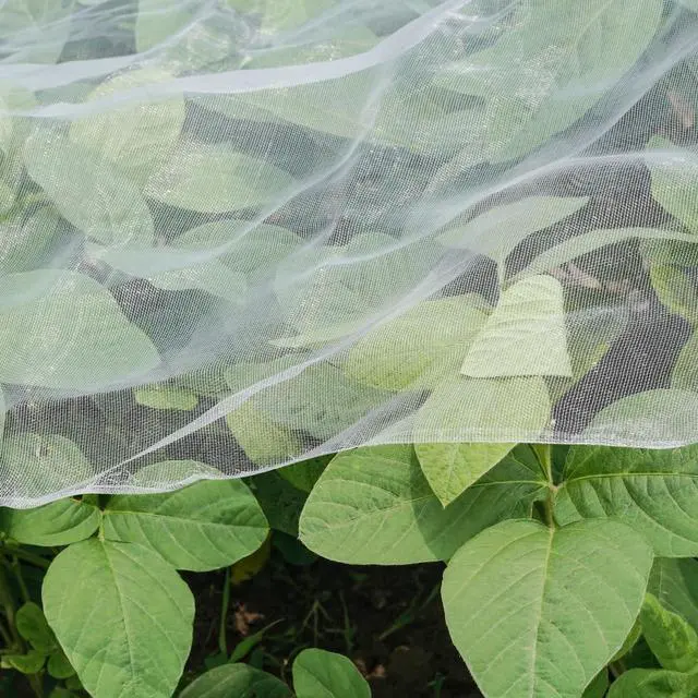 Main image of Ultra Fine Garden Netting, 4'x10' Plant Netting Pest Barrier for Garden Protection Row Cover Raised Bed Screen Mesh Greenhouse Mosquito Net, Protecting Tree Plants Vegetable Flowers Fruits