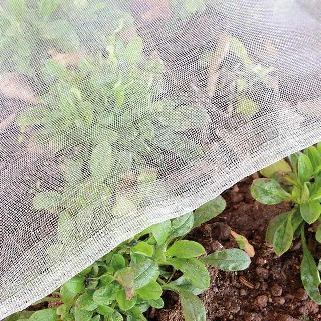 Main image of Insect Netting Pest Barrier: 4'x10' Bug Netting for Garden Protection Mosquito Net Fine Mesh Cicada Tree Net Greenhouse Row Cover for Crops Plants Vegetables Flowers Fruits Silver