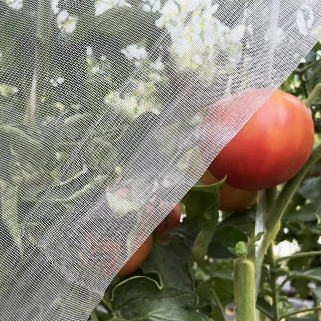 Main image of Ultra Fine Garden Netting 4'x10' Plant Pest Barrier Covers Bird Patio Mosquito Netting Tree Vegetable Mesh Protection Netting Fruit Greenhouse Row Nets for Garden