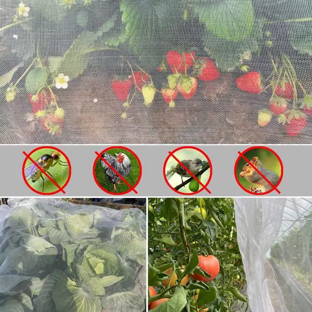 Alt view image 2 of 6 - Ultra Fine Garden Netting 4'x10' Plant Pest Barrier Covers Bird Patio Mosquito Netting Tree Vegetable Mesh Protection Netting Fruit Greenhouse Row Nets for Garden