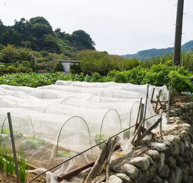 Alt view image 4 of 7 - Netting Pest Barrier: 4'x10' Fine Bug Netting for Garden Protection Row Cover Raised Bed Screen Mesh Greenhouse Mosquito Net, Protecting Tree Plants Vegetable Flowers Fruits