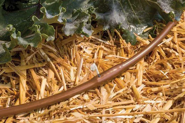 Alt view image 2 of 4 - ET25-50S2 Drip Irrigation Pressure Compensating 1/4" Emitter Tubing, 12" Emitter Spacing, 50' Roll, Brown