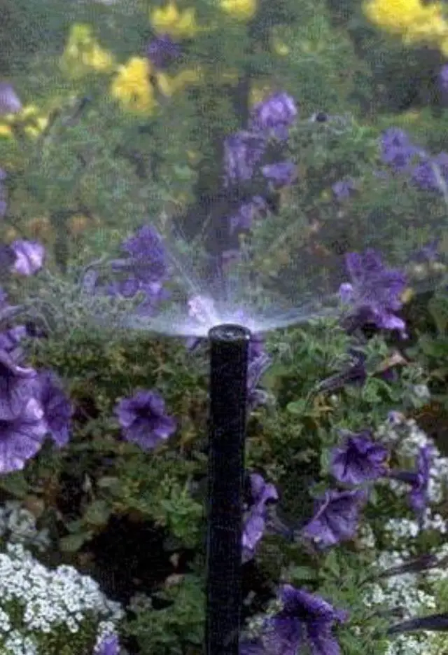 Alt view image 5 of 6 - 1806APPRS Pressure Regulating (PRS) Professional Pop-Up Sprinkler, Adjustable 0° - 360° Pattern, 8' - 15' Spray Distance, 6" Pop-up Height