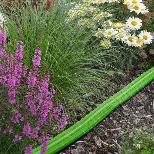 Alt view image 4 of 6 - Heavy Duty Sprinkler Soaker Hose 50 FT, Flat Garden Hose with Holes, Efficient Flexible Irrigation Hose for Yard, Lawn and Garden, Includes Stakes