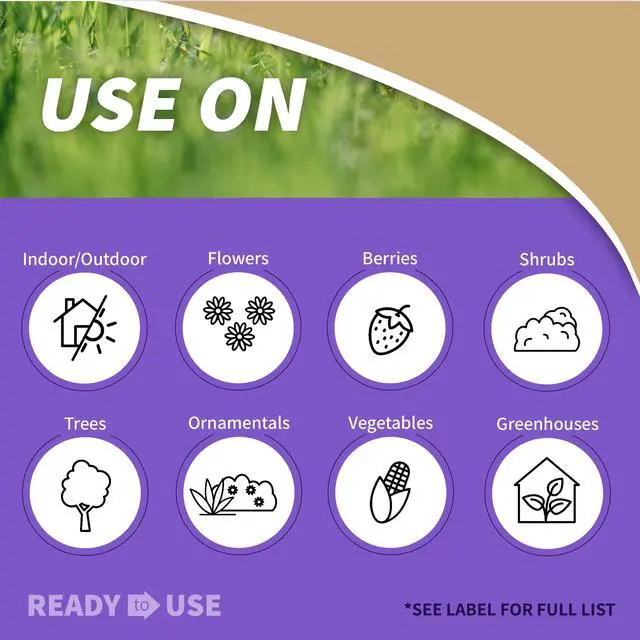 Alt view image 2 of 7 - Insecticidal Soap, 32 oz Ready-to-Use Spray Multi-Purpose Insect Control for Organic Gardening Indoor and Outdoor