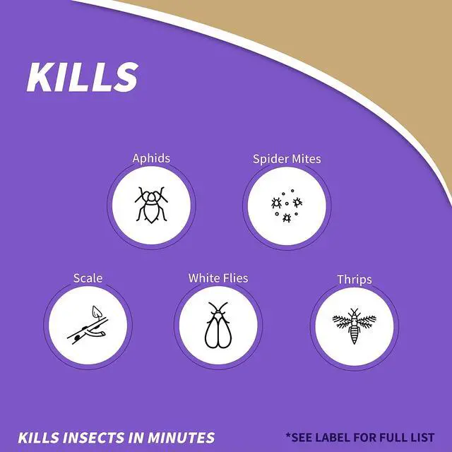 Alt view image 3 of 7 - Insecticidal Soap, 32 oz Ready-to-Use Spray Multi-Purpose Insect Control for Organic Gardening Indoor and Outdoor
