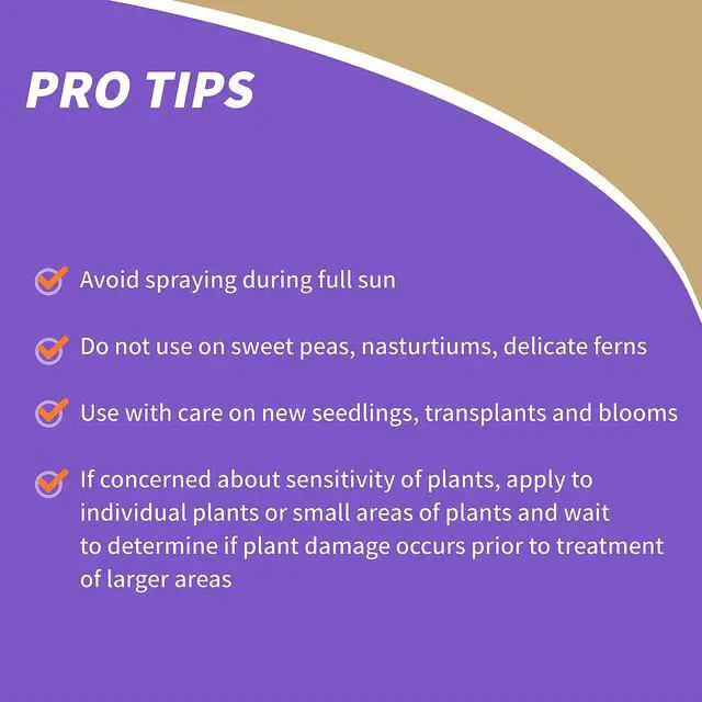 Alt view image 5 of 7 - Insecticidal Soap, 32 oz Ready-to-Use Spray Multi-Purpose Insect Control for Organic Gardening Indoor and Outdoor
