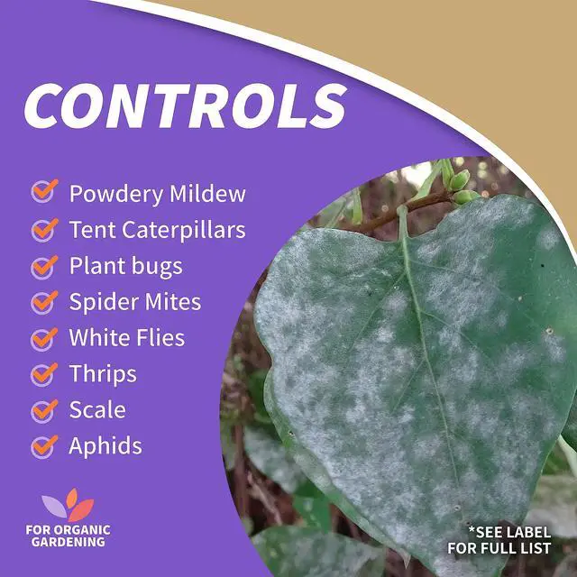 Alt view image 4 of 7 - Insecticidal Soap, 32 oz Ready-to-Use Spray Multi-Purpose Insect Control for Organic Gardening Indoor and Outdoor