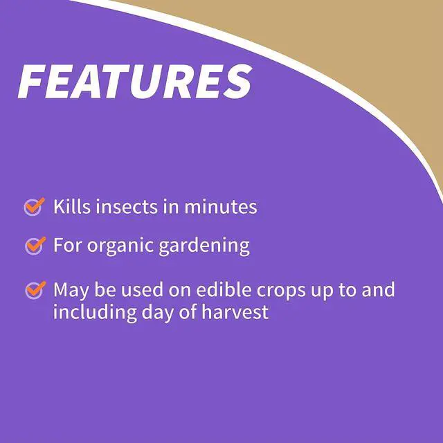 Alt view image 6 of 7 - Insecticidal Soap, 32 oz Ready-to-Use Spray Multi-Purpose Insect Control for Organic Gardening Indoor and Outdoor