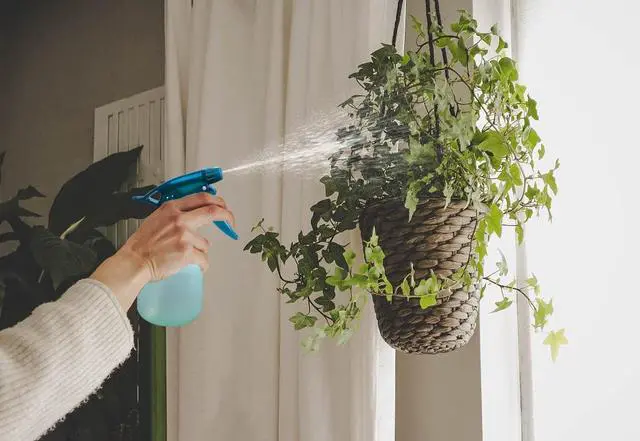 Alt view image 5 of 5 - Empty Spray Bottle Refillable Container, Fine Mist Sprayer Trigger Squirt Bottle for Taming Hair, Hair styling, Watering Plants, Showering Pets (1 Pack, Green)