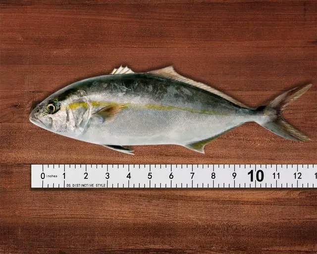 Alt view image 7 of 7 - Fish Ruler Sticker 40-Inch Waterproof Adhesive Ruler Tape Fish Measuring Tape for Kayak, Boat, and Workbench