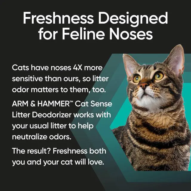 Alt view image 4 of 6 - ARM & HAMMER Cat Sense Odor Control Cat-Approved Litter Deodorizer, 24 oz