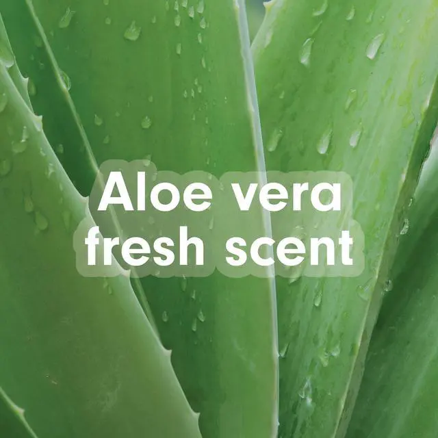 Alt view image 5 of 6 - Softsoap Soothing Clean Liquid Hand Soap with New Easy Pour Spout, Aloe Vera Fresh Scent, 50 fl oz
