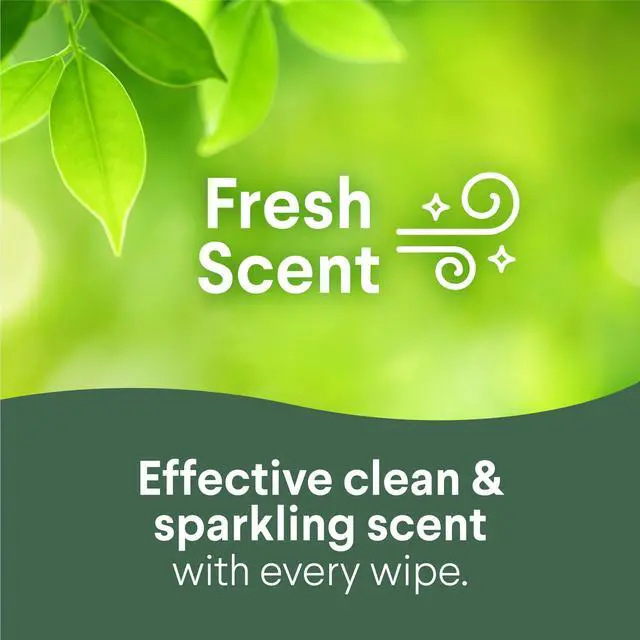 Alt view image 6 of 6 - (3 pack) Clorox Disinfecting Cleaning Wipes To Go Pack, Bleach Free, Fresh Scent, 9 Count