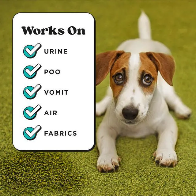 Alt view image 4 of 7 - Pet-Pourri Pocket Deodorizer Spray, Pawsitively Fresh, 1 Fl Oz