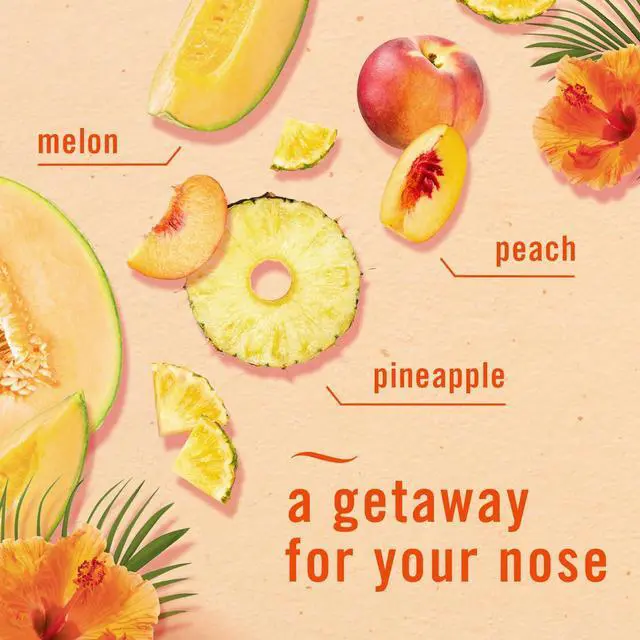 Alt view image 6 of 7 - Febreze Small Spaces Air Freshener, Odor-Fighting, Plug In Alternative, Air Fresheners for Home and Bathroom and Kitchen, Closet Air Fresheners, Hawaiian Aloha Scent, 2 Count