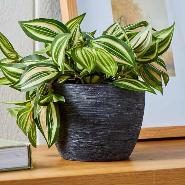 Alt view image 2 of 6 - Better Homes & Gardens 4.5 in Textured Matte Ceramic Plant Pot, Black, 1 Piece
