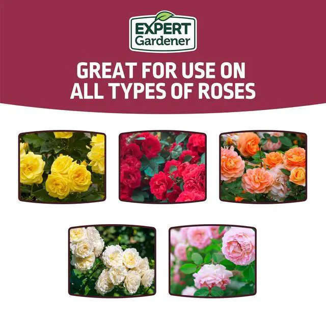 Alt view image 6 of 7 - Expert Gardener Rose Plant Food Fertilizer 12-6-10, 4 lb.