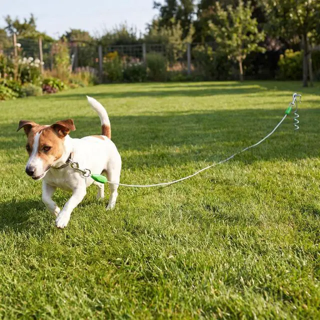 Alt view image 3 of 7 - Vibrant Life Medium Spiral Steel Stake for Dogs, M, 18"