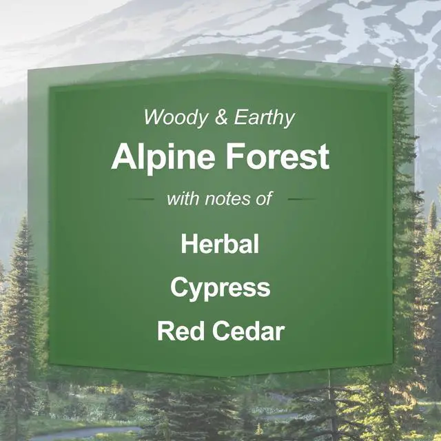 Alt view image 6 of 6 - ICUTE-Mainstays Alpine Forest Single-Wick Scented Glass Jar Candle, 20 oz